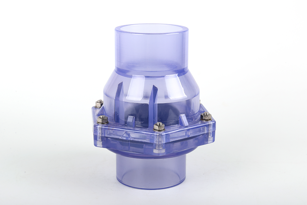 徐水透明翻板式止回阀